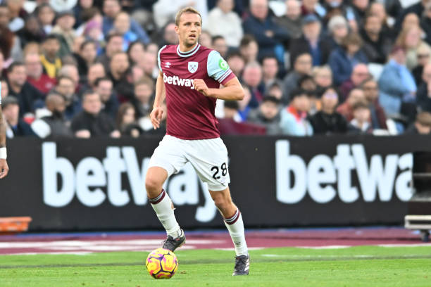 的職業生涯 的職業生涯